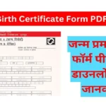 Rajasthan Birth Certificate Form PDF
